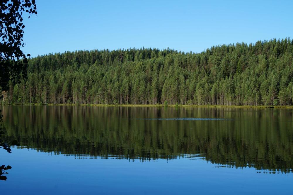 Photograph by Сергей Афанасьев