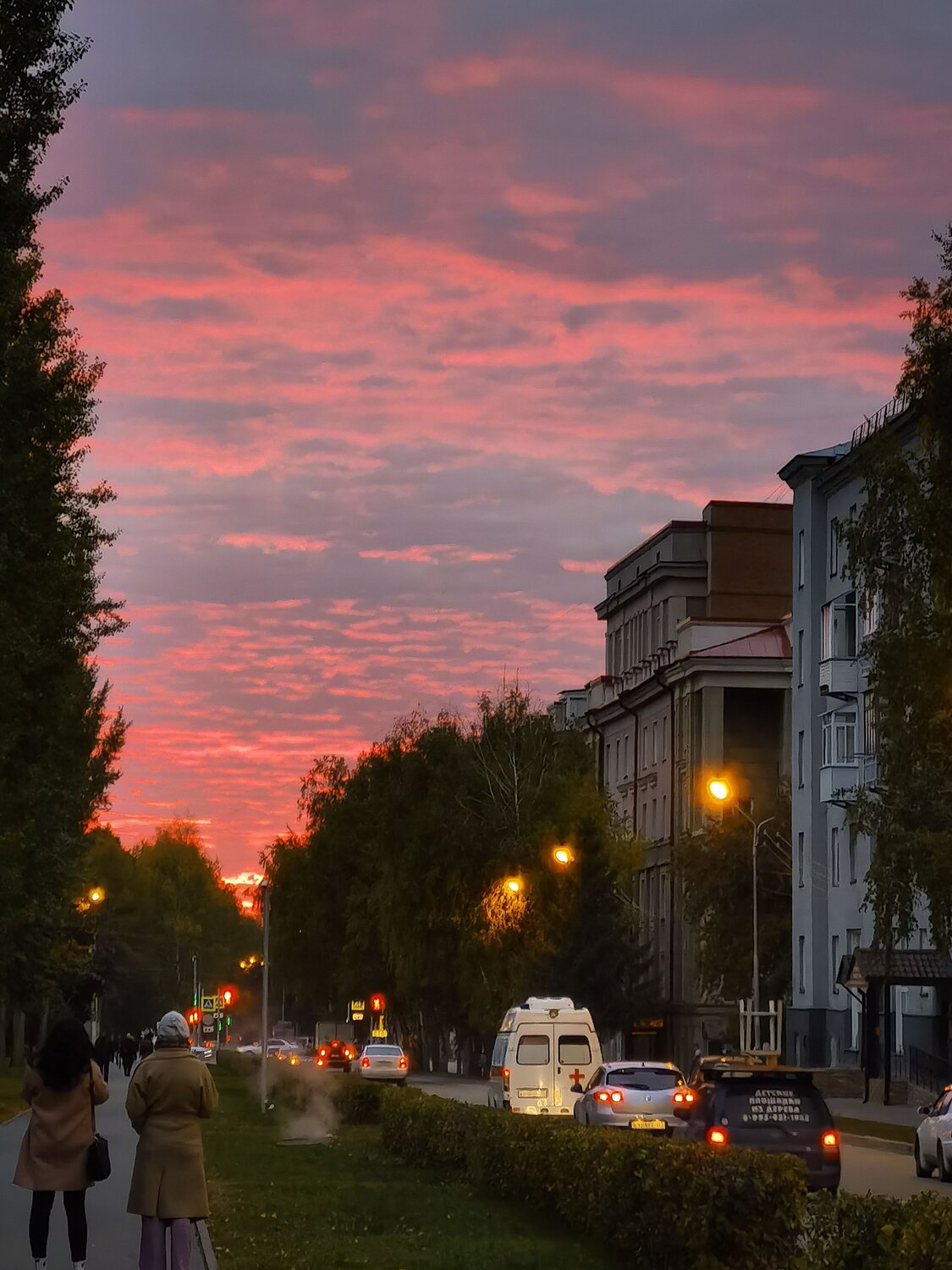 Photo #8373305