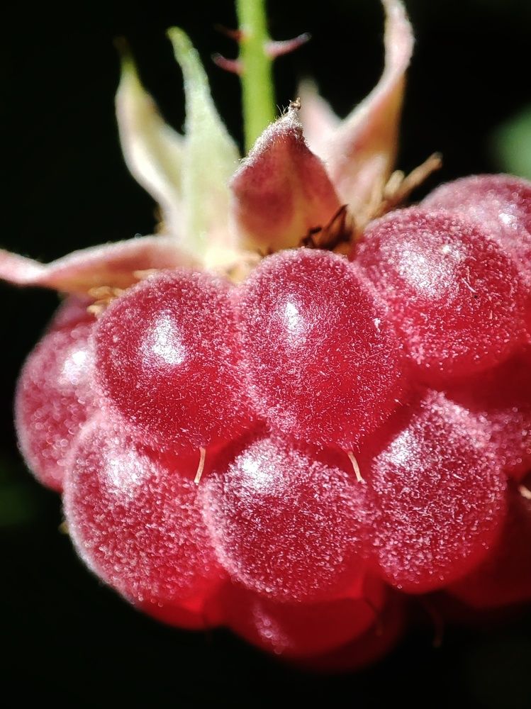 Photograph by Ольга Сучкова