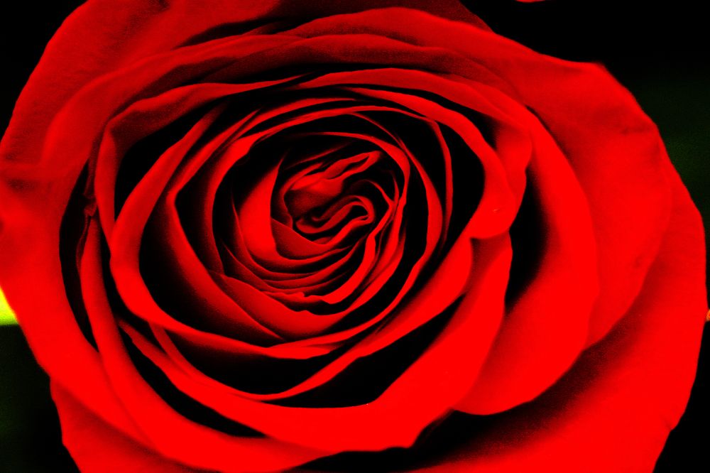 Photograph by Bastián Cifuentes Araya