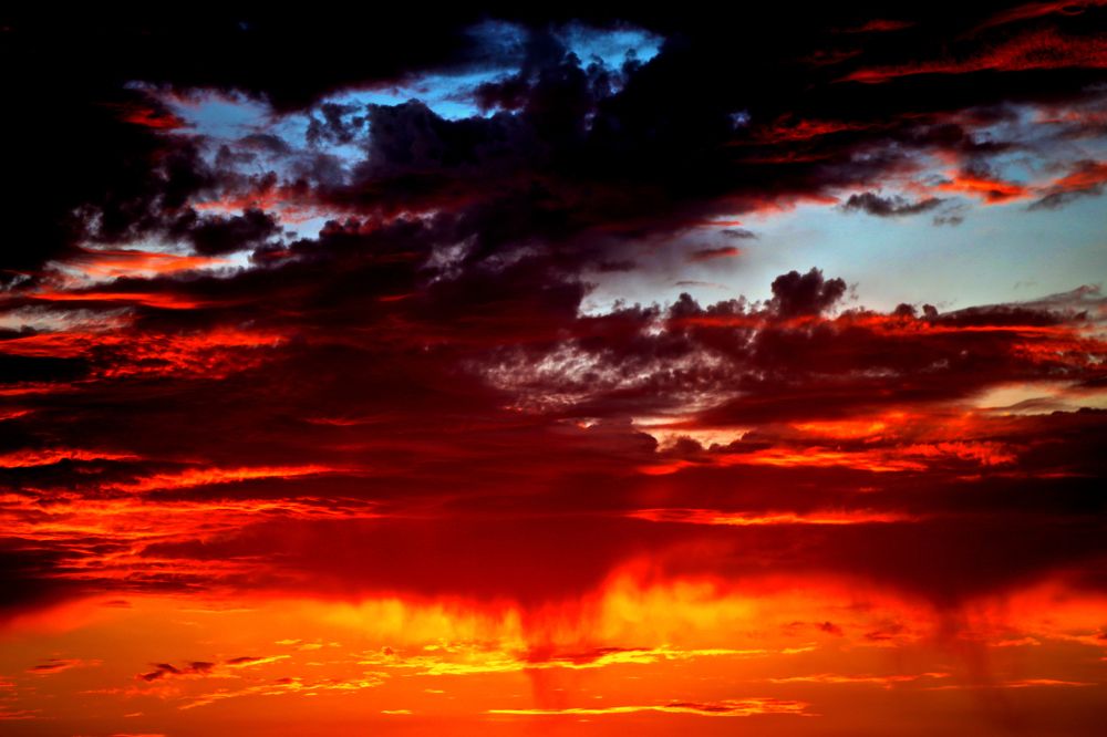 Photograph by Bastián Cifuentes Araya