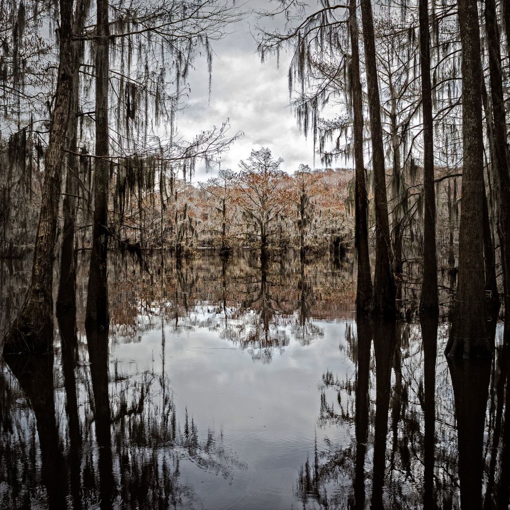 Photograph by Anatoliy Kosterev