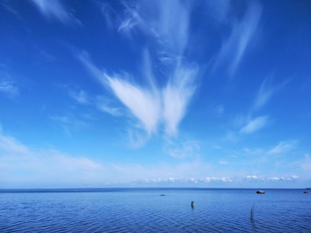 Photograph by Ольга Антохина