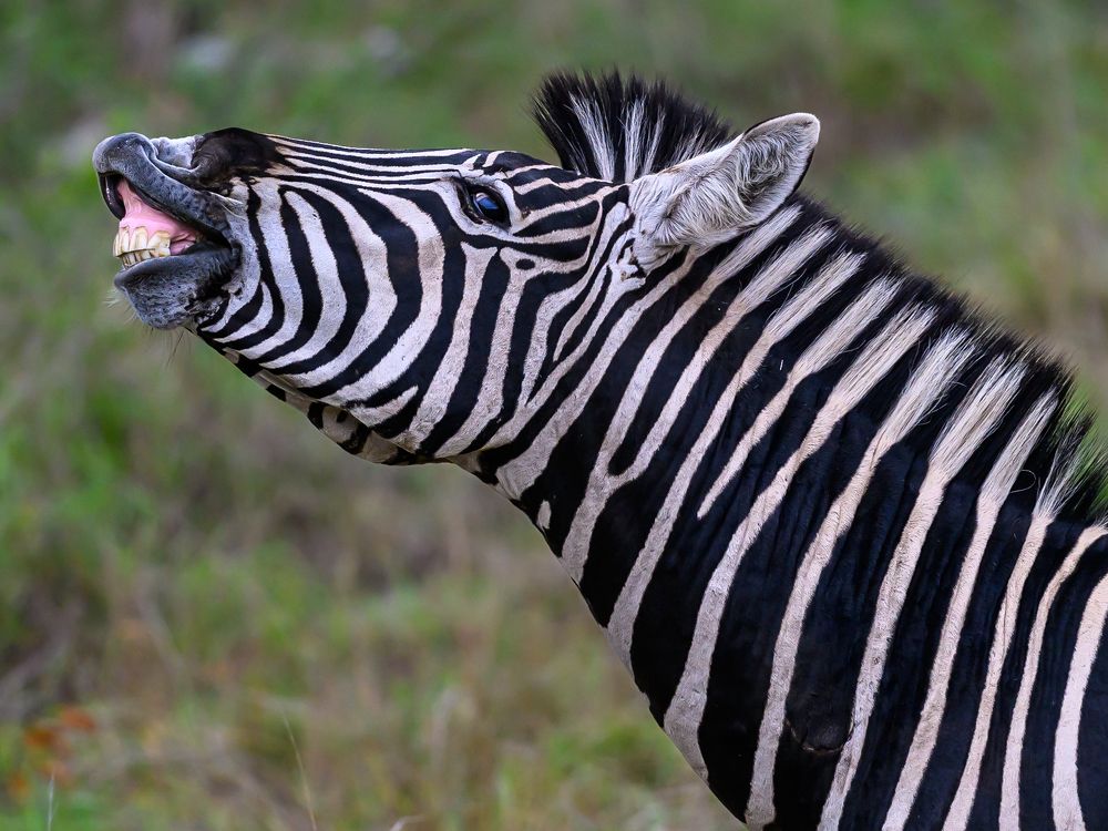 Photograph by Sergey Puponin