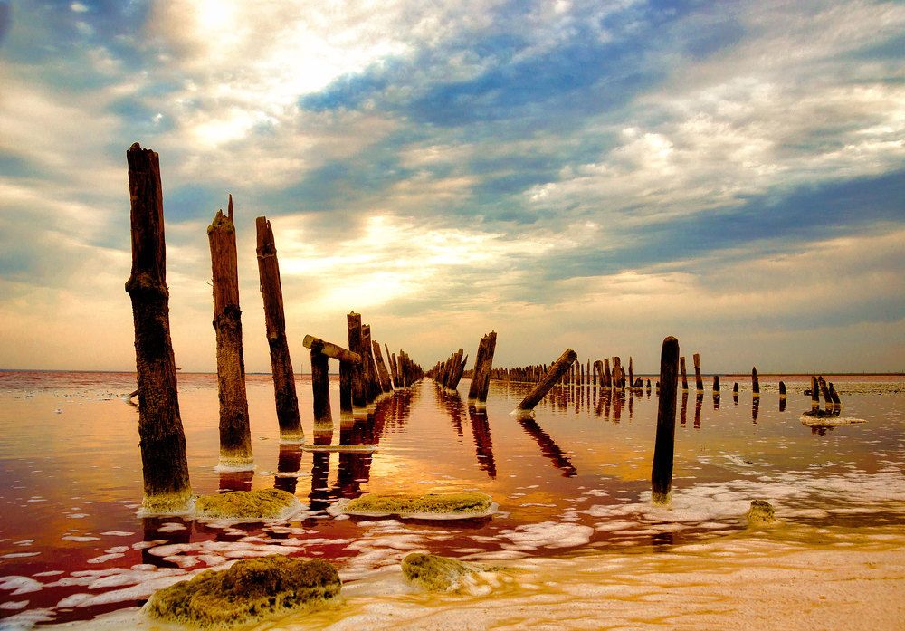 Photograph by  AlexSa