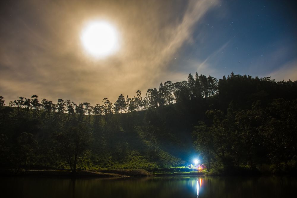 Photograph by Lithira Amarapala