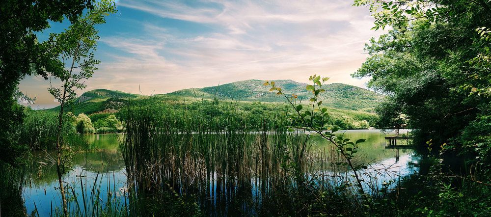 Photograph by  AlexSa