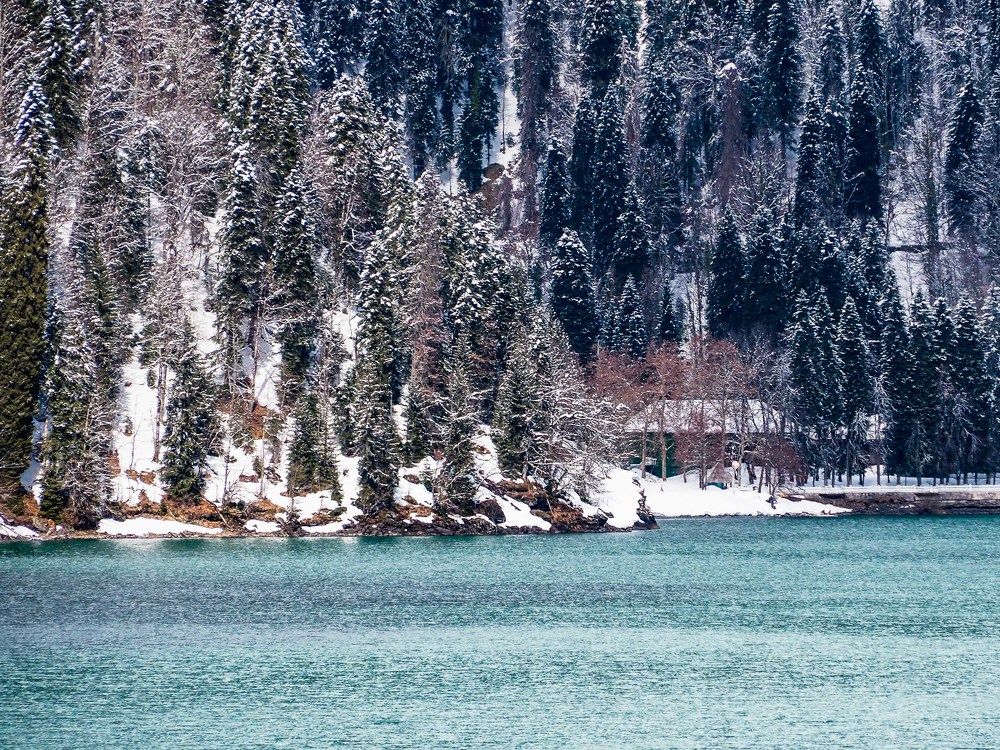 Photograph by mikhail goryachev