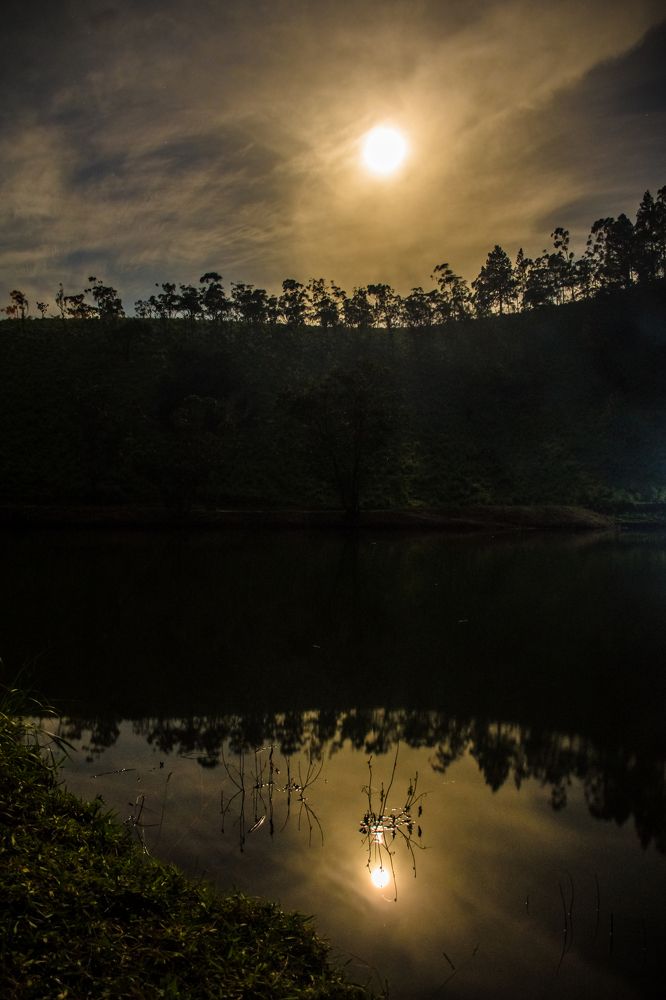 Photograph by Lithira Amarapala