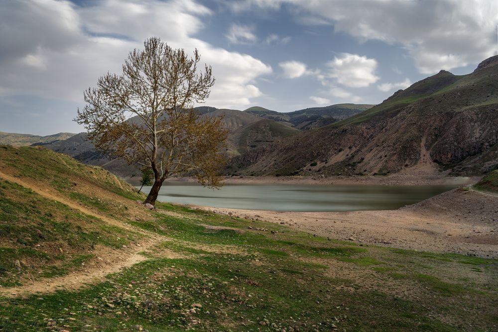 Photograph by Benyamin Farhang