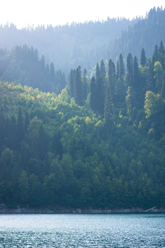 Фотография автора Тамара Нижельская