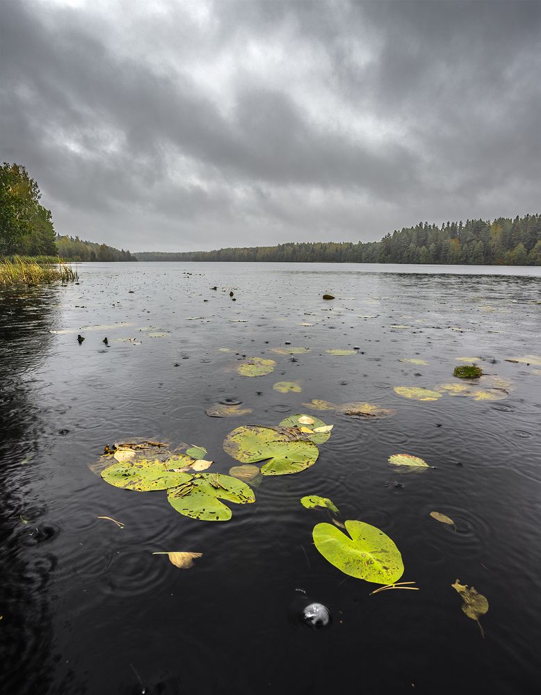 Photograph by Андреев Николай