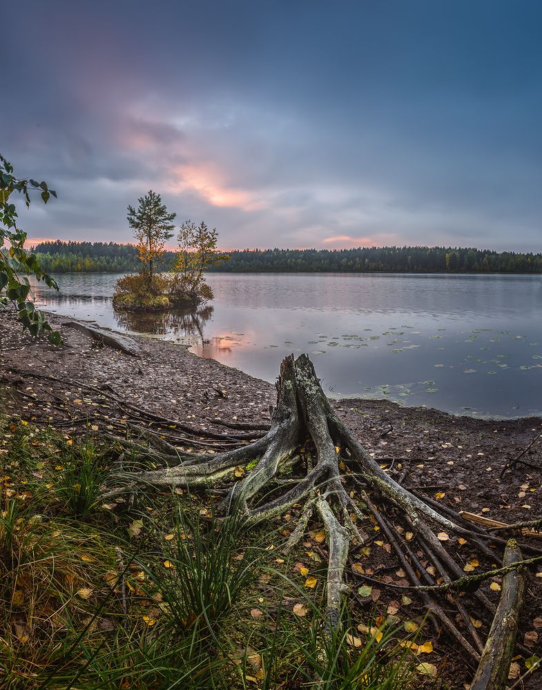 Photograph by Андреев Николай