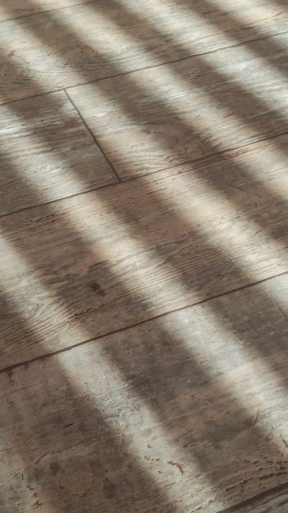 Фотография автора Татьяна Ротько