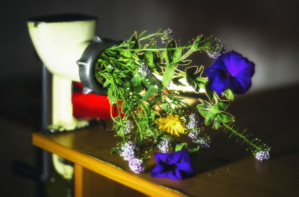 Photograph by Евгений Ермаков