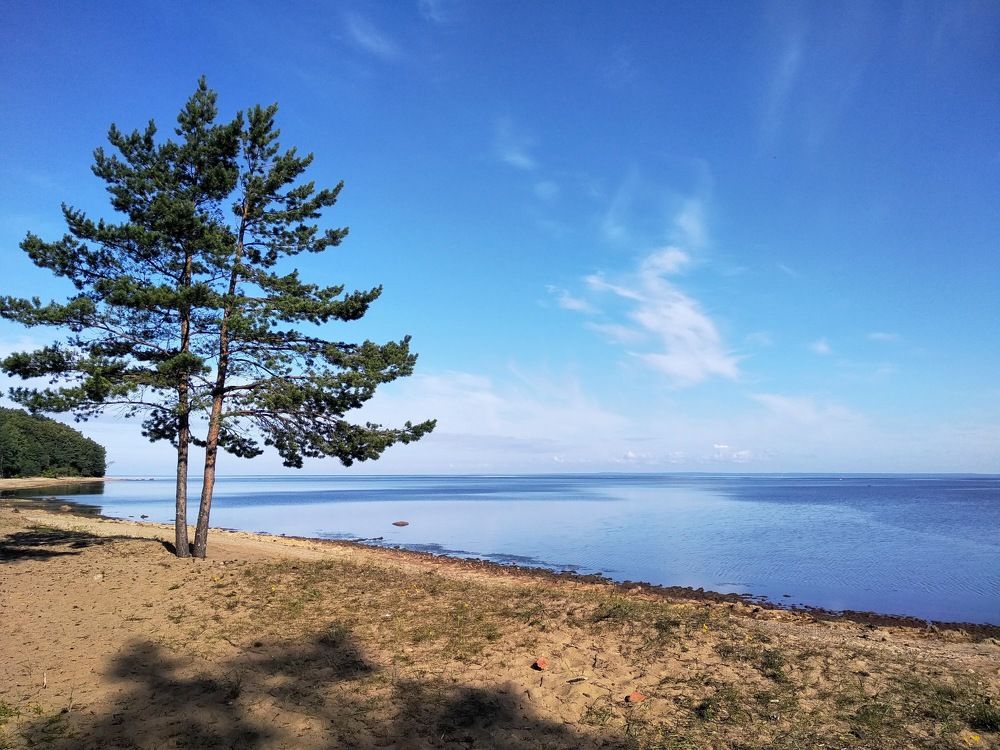 Photograph by Ольга Антохина