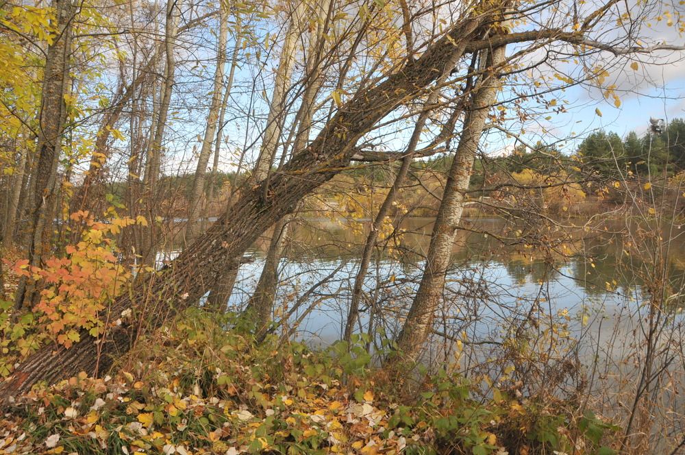 Photograph by Андрей Старовойтов