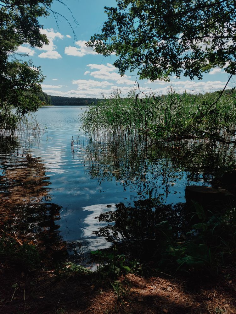 Photograph by Наталья Дегтярева