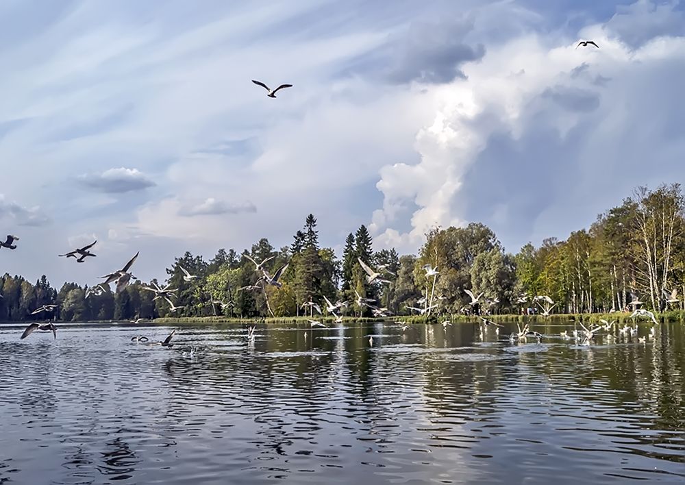 Серебряные озеро.