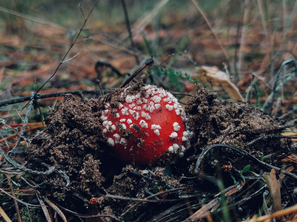 Photograph by Данил Батурин