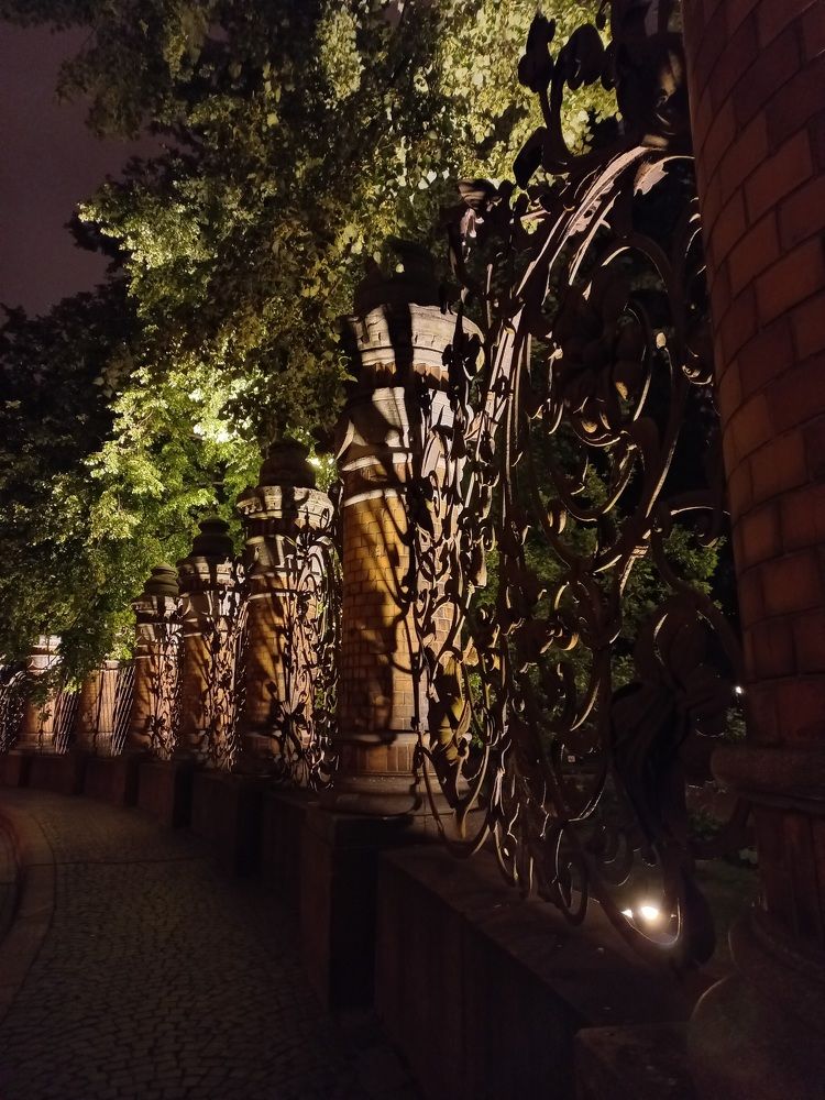 Фотография автора Борисова Мария