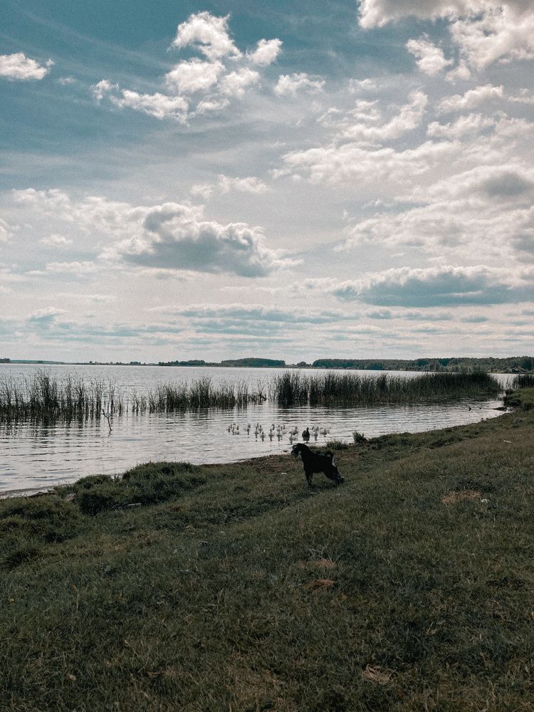 Photograph by Olivka Ulyanova