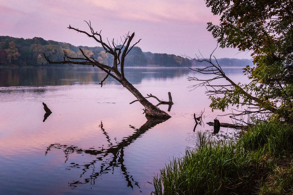 Photograph by Kononov Anatolii