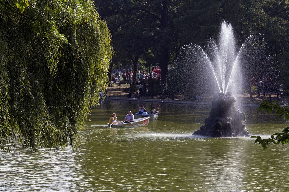 Photograph by Cojanu Silviu