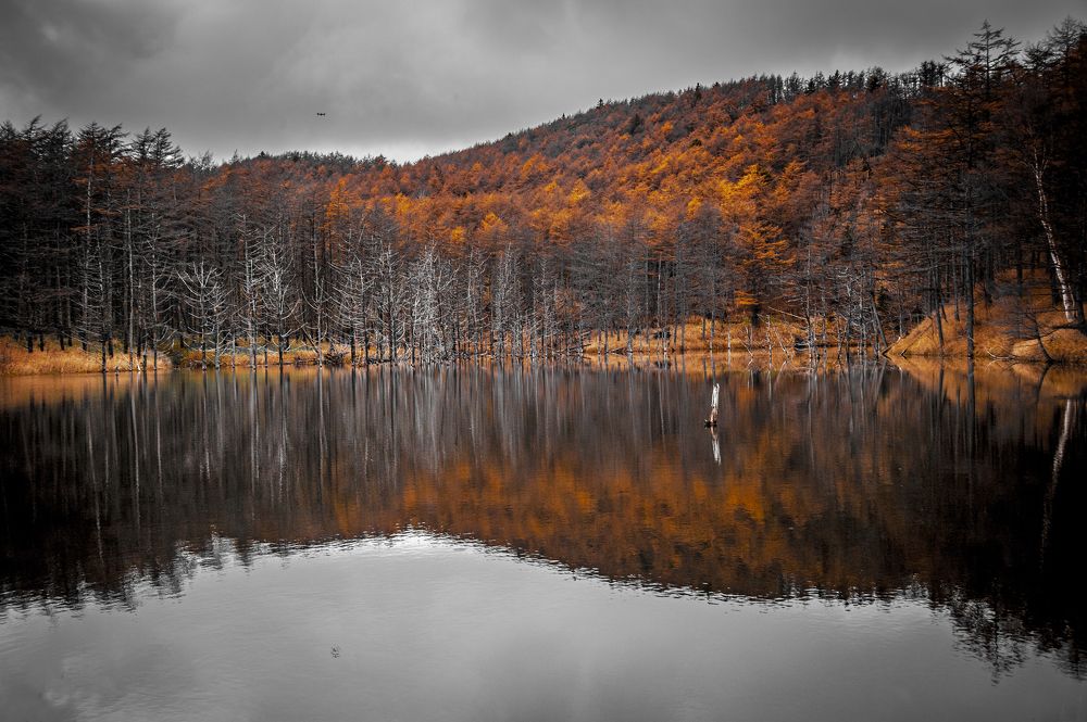 Photograph by Максим Тыщенко