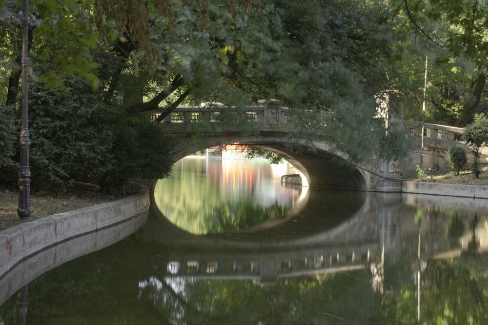 Photograph by Cojanu Silviu