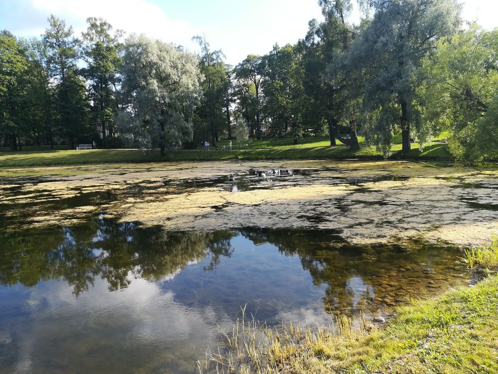 Photograph by Елизавета