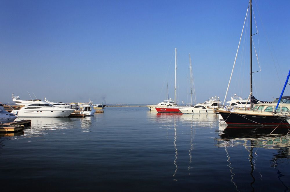 Photograph by Ольга Антохина