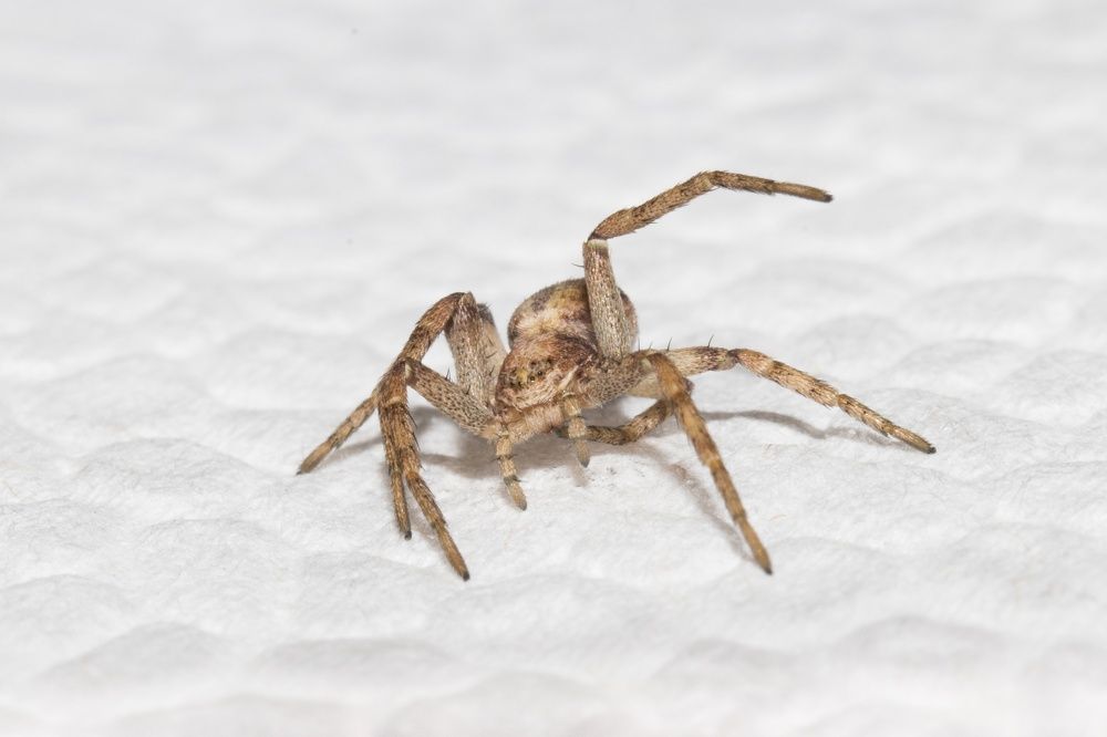 Photograph by Анна Вербилова