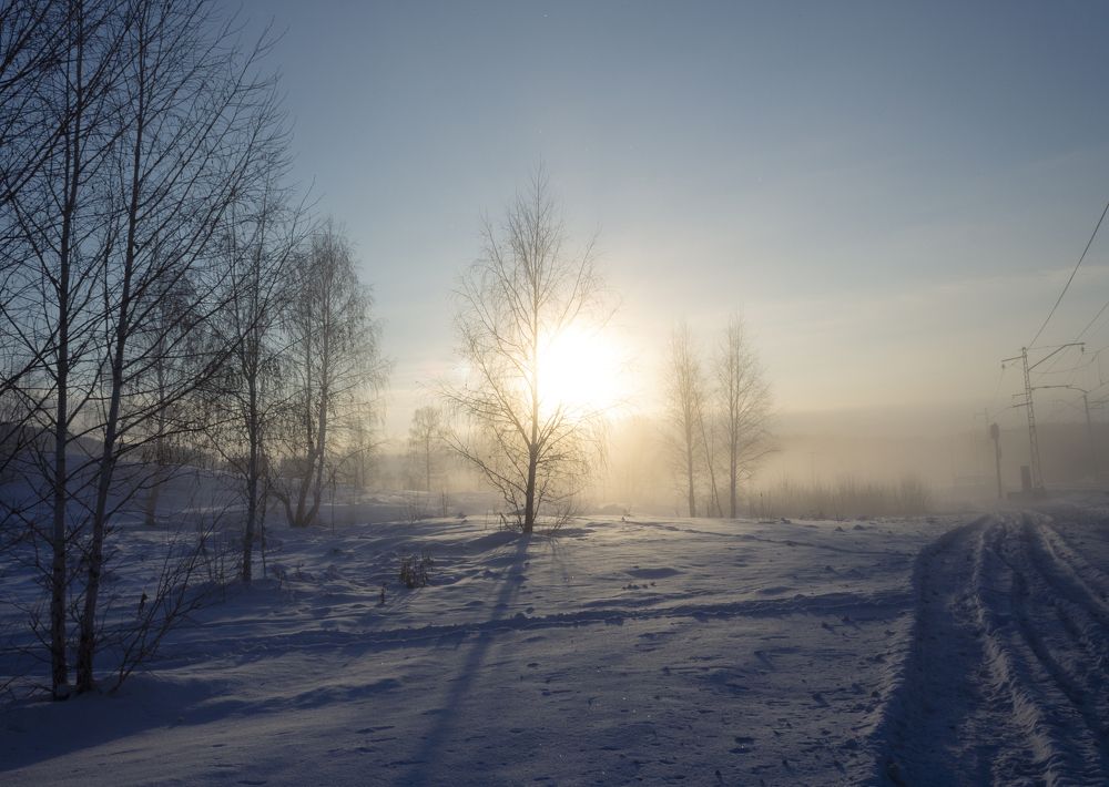 Photograph by Попел Ирина