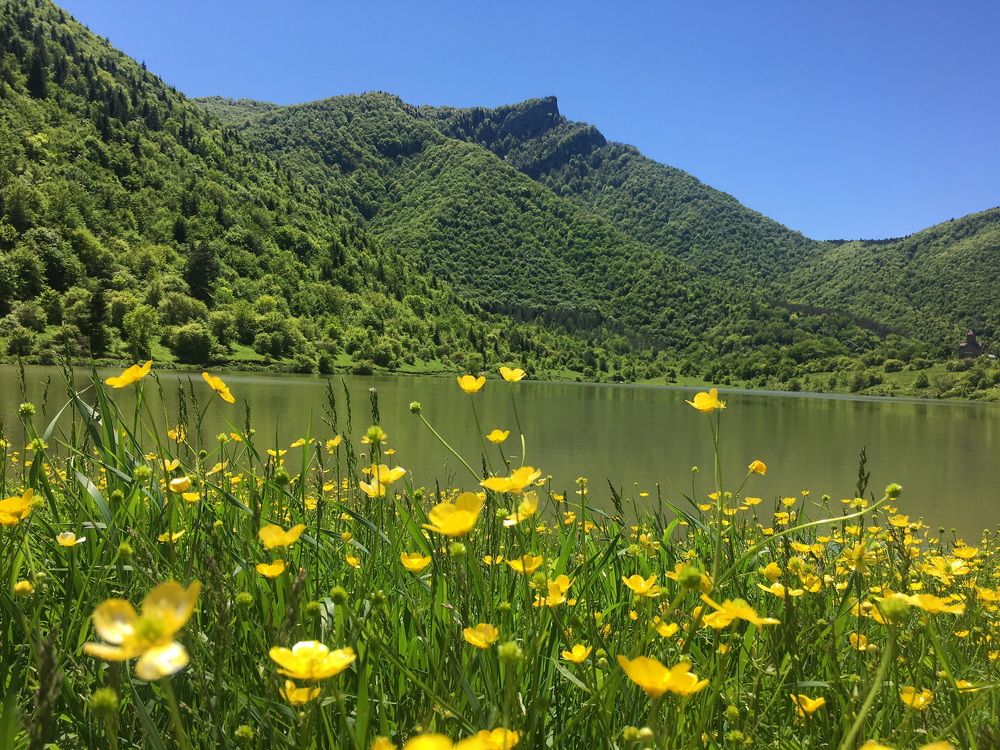 Фотография автора Mariam Martiashvili