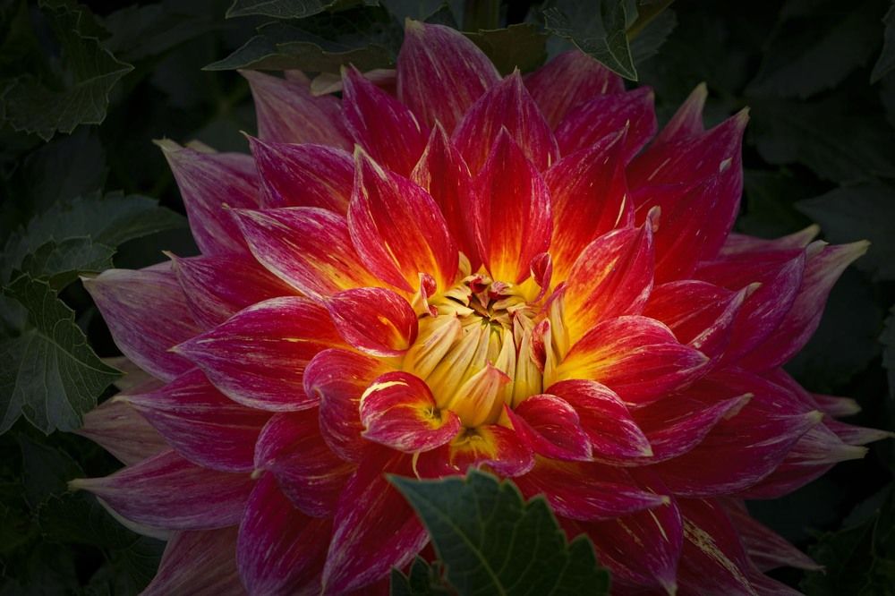 Фотография автора Татьяна Добровольская