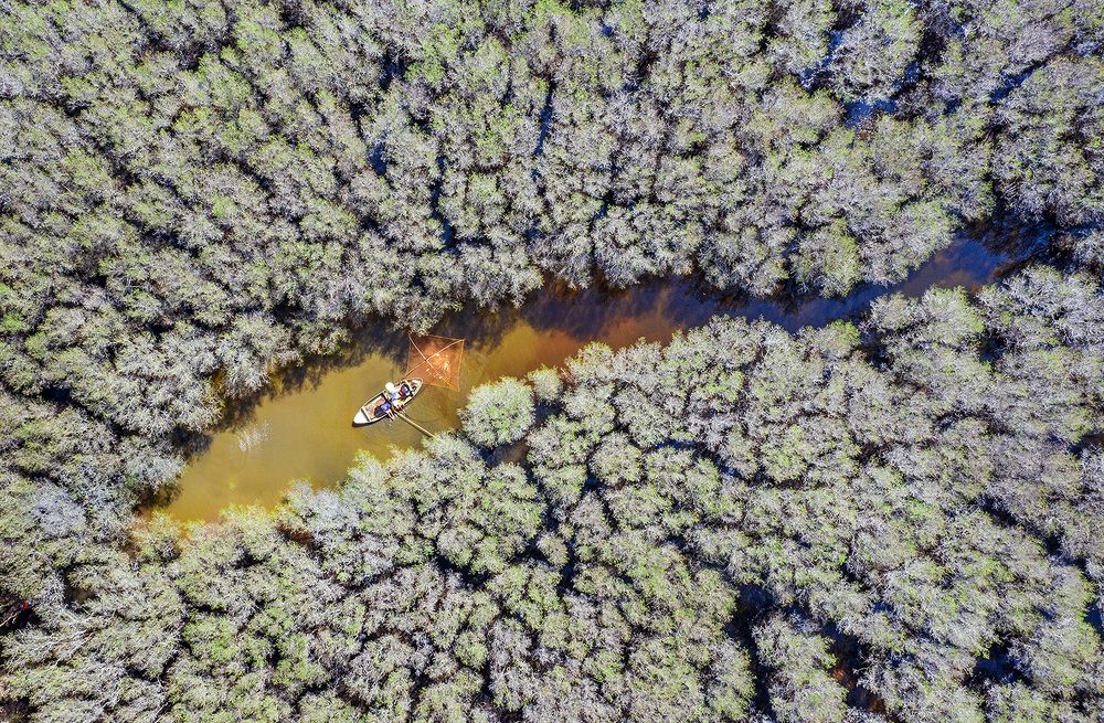 Photograph by Trung Bùi