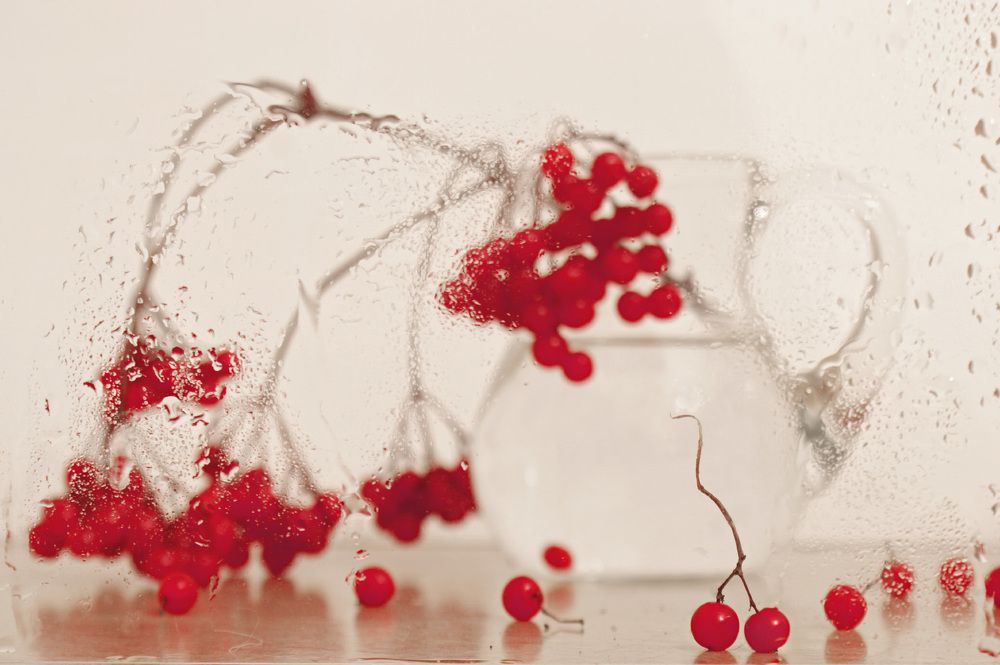 Калина-ягода