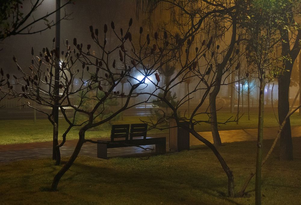 В ночном сквере!