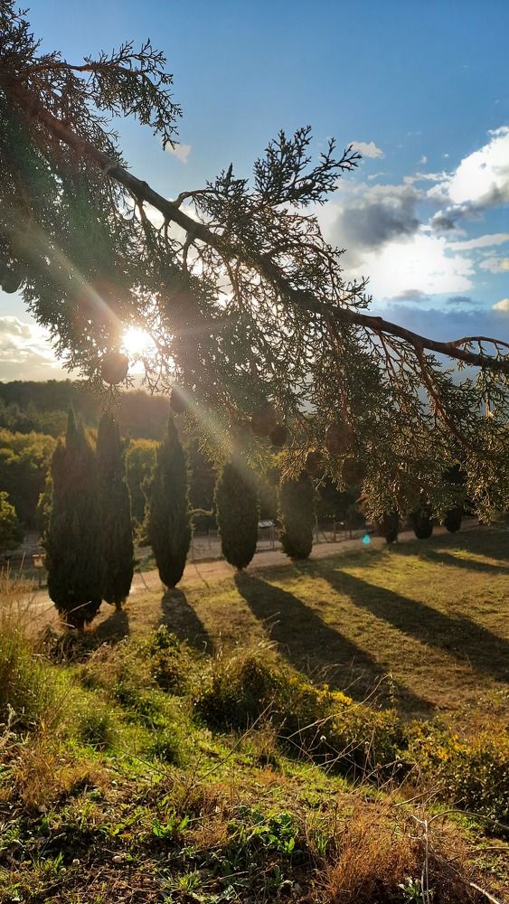 Photograph by Irnara Seidali