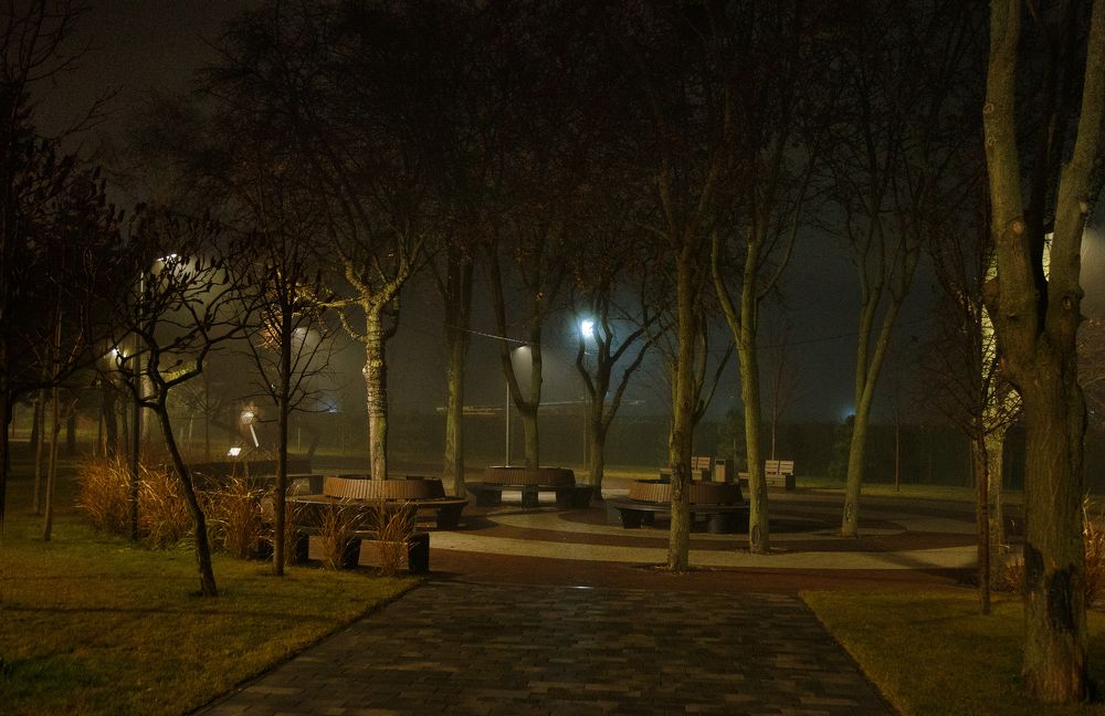 В ночном сквере!