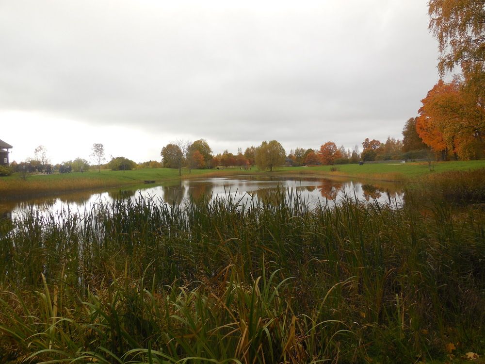 Photograph by Александр Аведов