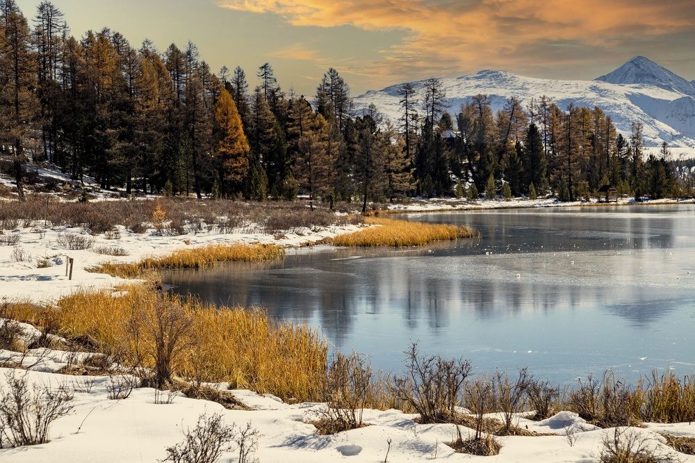 Photograph by Владимир Каверин