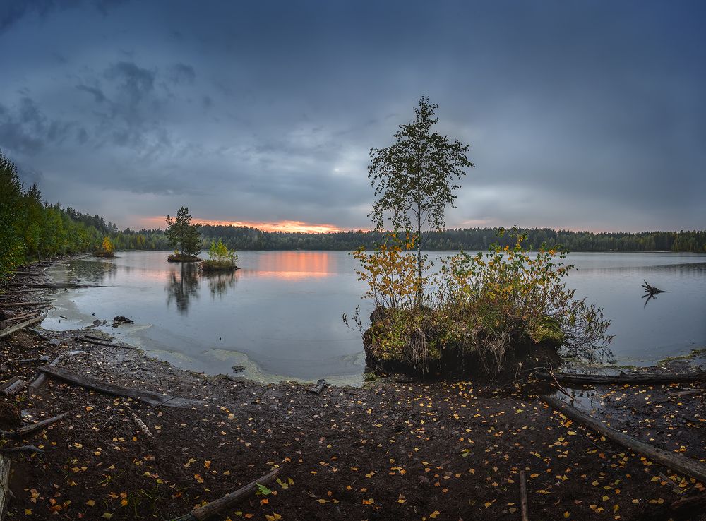 Photograph by Андреев Николай