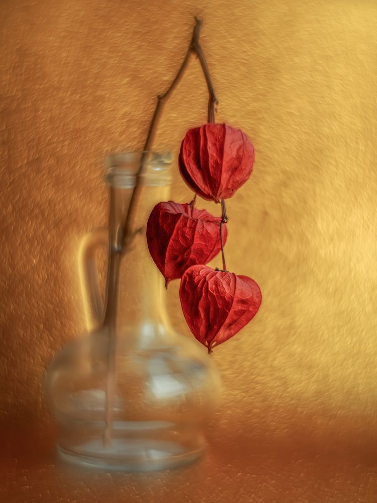 Photograph by Третьякова Анастасия