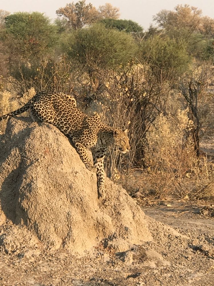 Photograph by Ирина