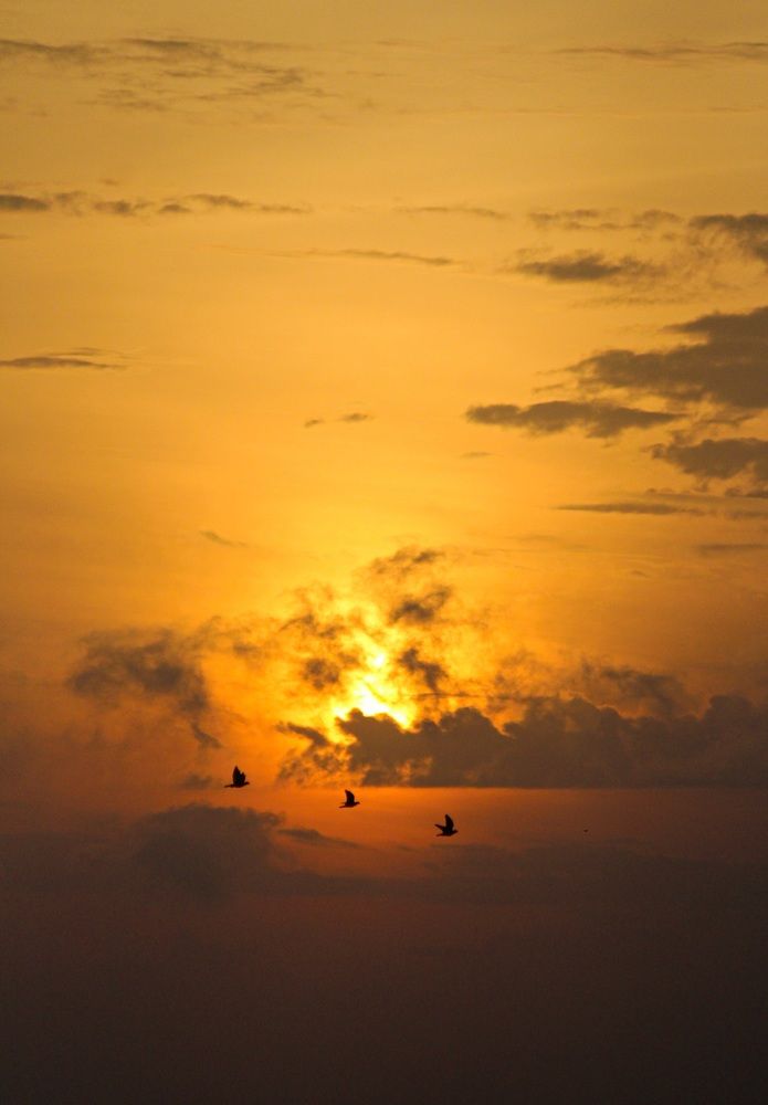 Photograph by Mathew Nishanth A