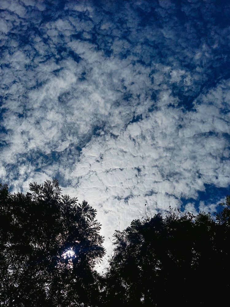 Photograph by Mathew Nishanth A