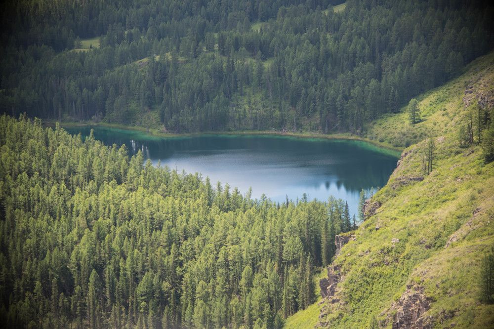 Photograph by Наталья Сорокина