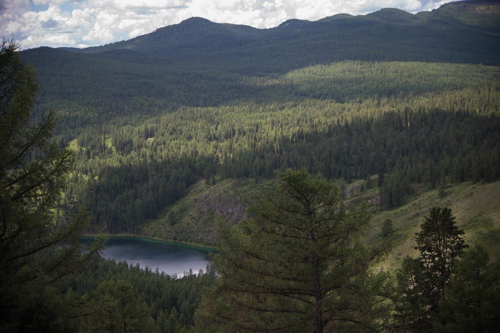 Photograph by Наталья Сорокина